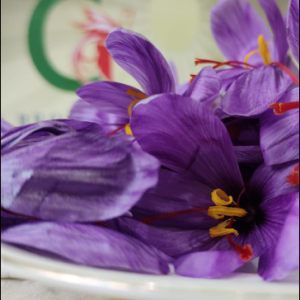 Organic Kashmiri Saffron <br>(10g)